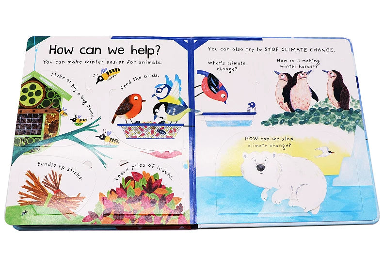 Where Do Animals Go In Winter ?