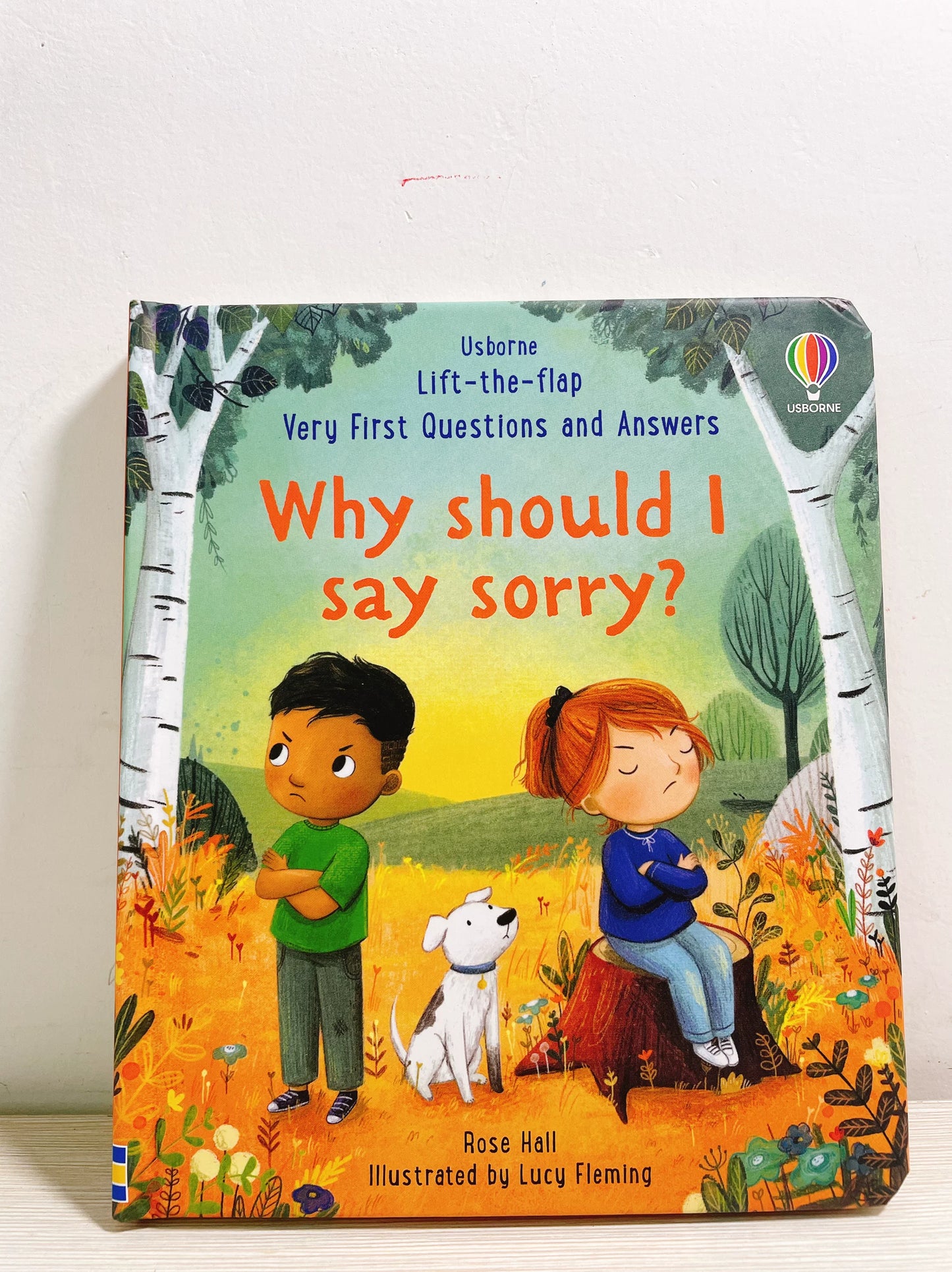 Why should I say sorry?