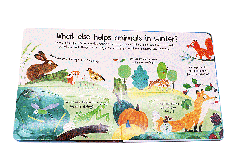 Where Do Animals Go In Winter ?