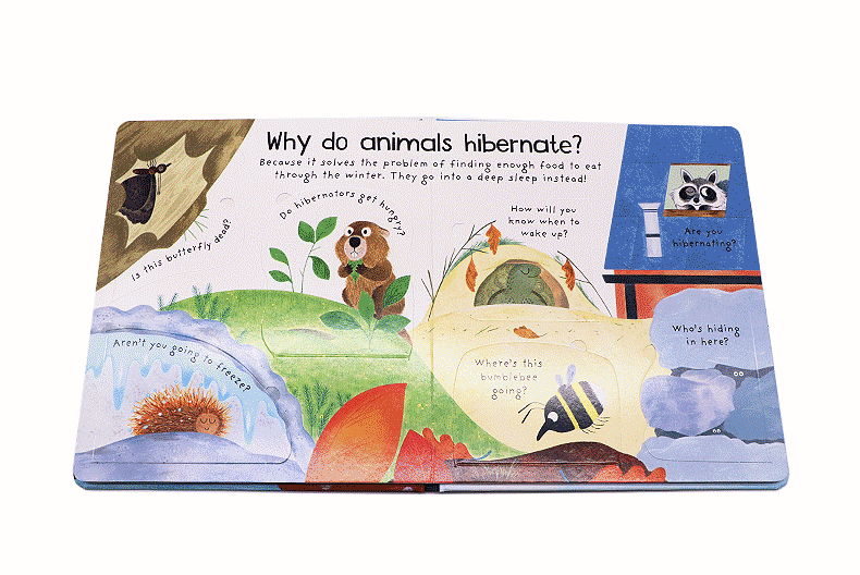 Where Do Animals Go In Winter ?