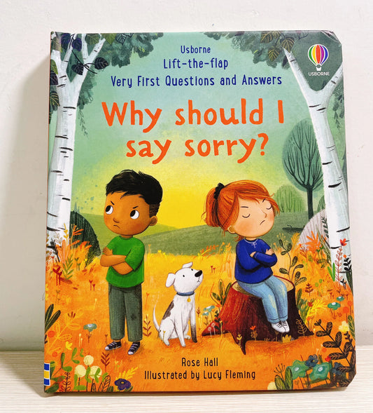 Why should I say sorry?