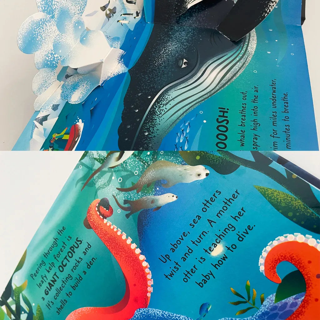 Pop Up Ocean