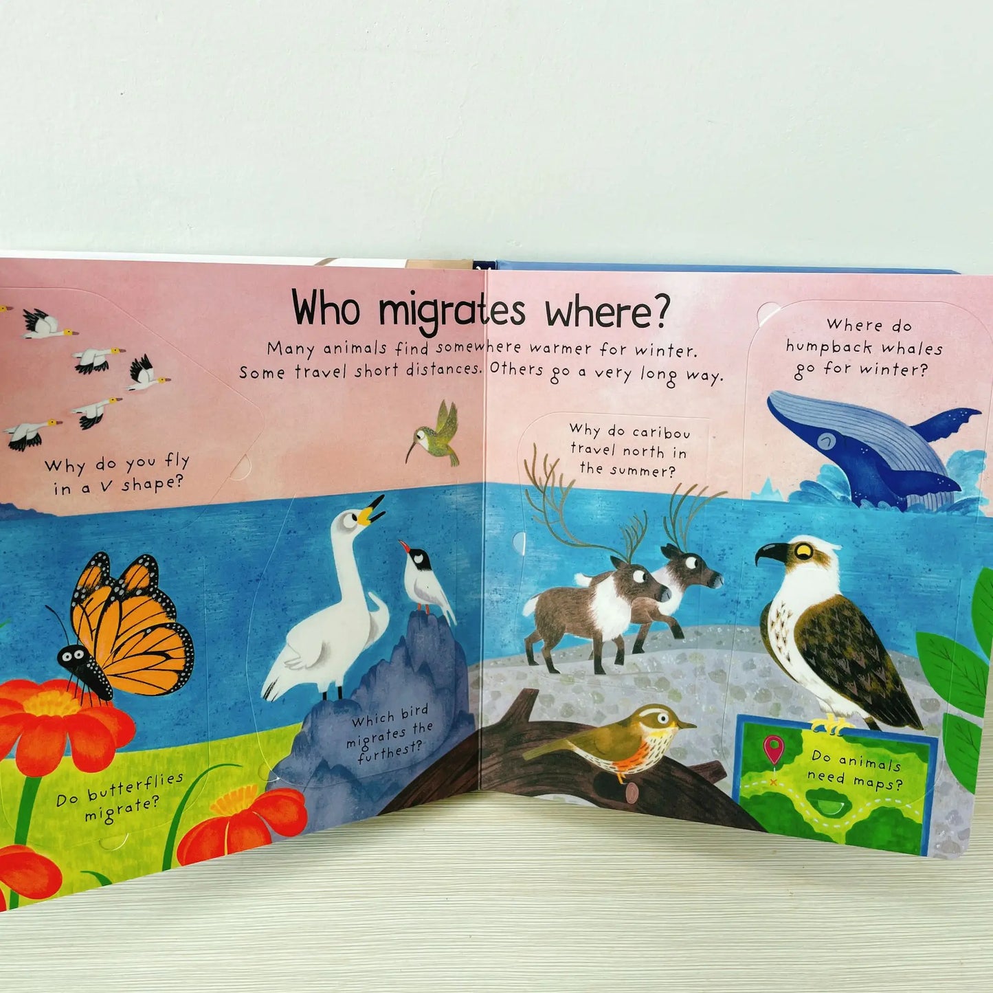 Where Do Animals Go In Winter ?