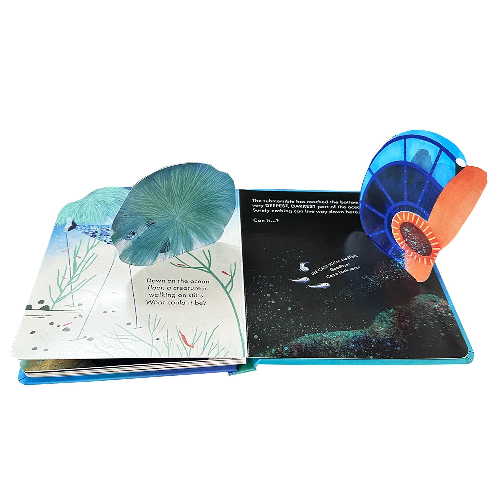 The Deep Ocean