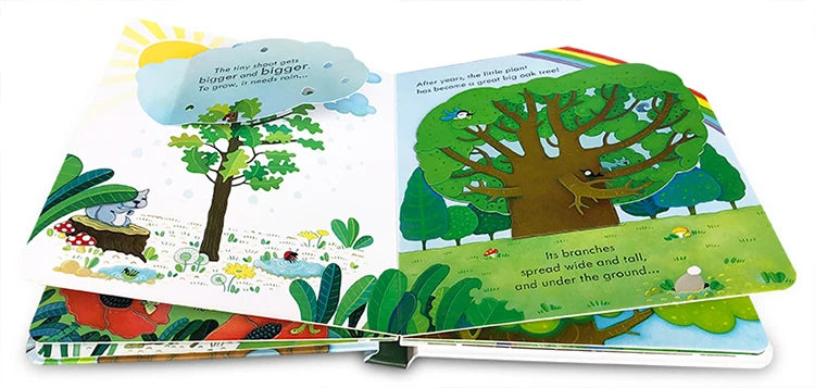 Usborne Peep Inside A Tree